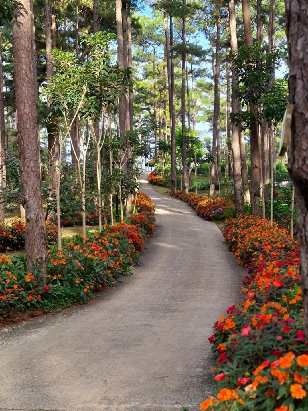 Dahlia Dalat Aparthotel Kültér fotó