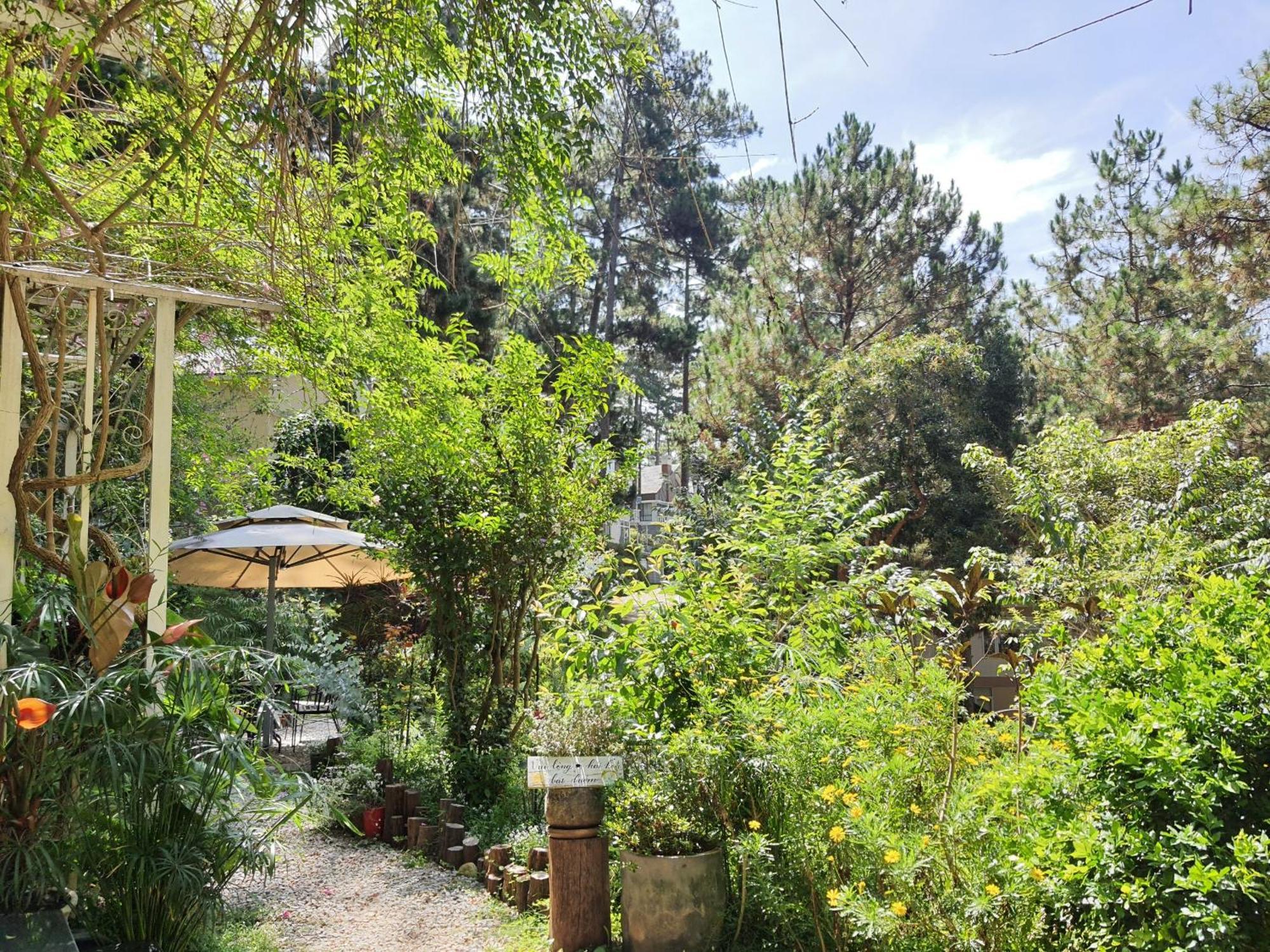 Dahlia Dalat Aparthotel Kültér fotó