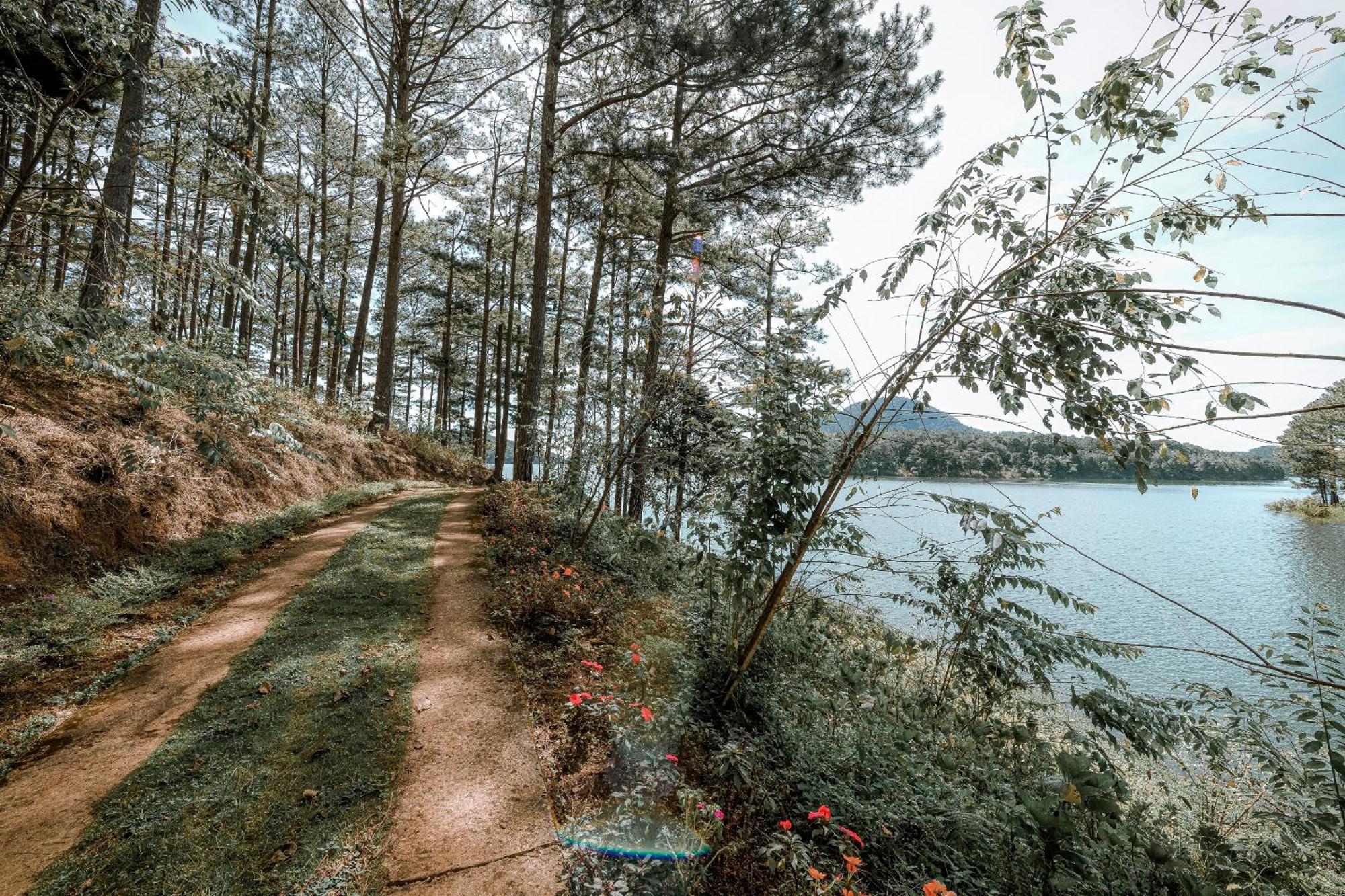 Dahlia Dalat Aparthotel Kültér fotó