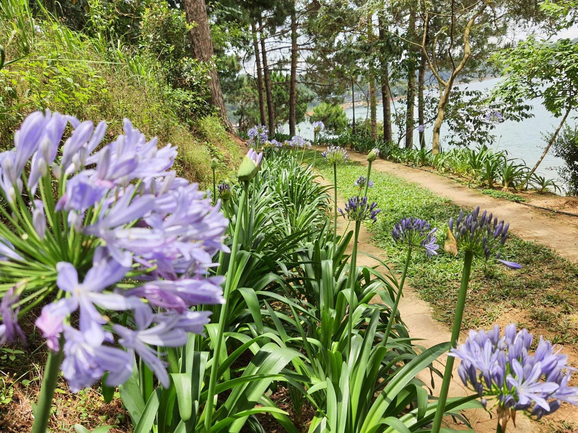 Dahlia Dalat Aparthotel Kültér fotó