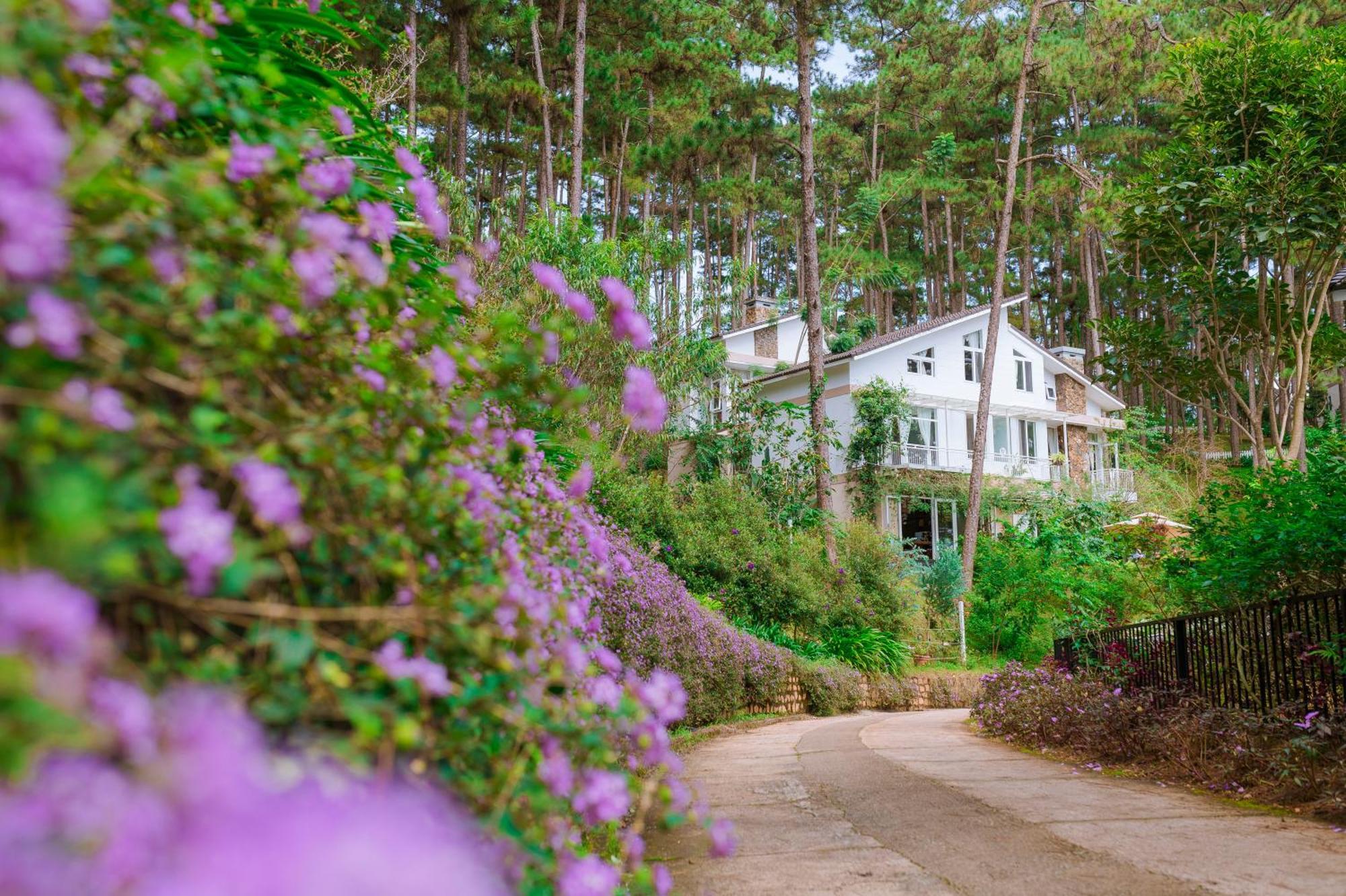 Dahlia Dalat Aparthotel Kültér fotó